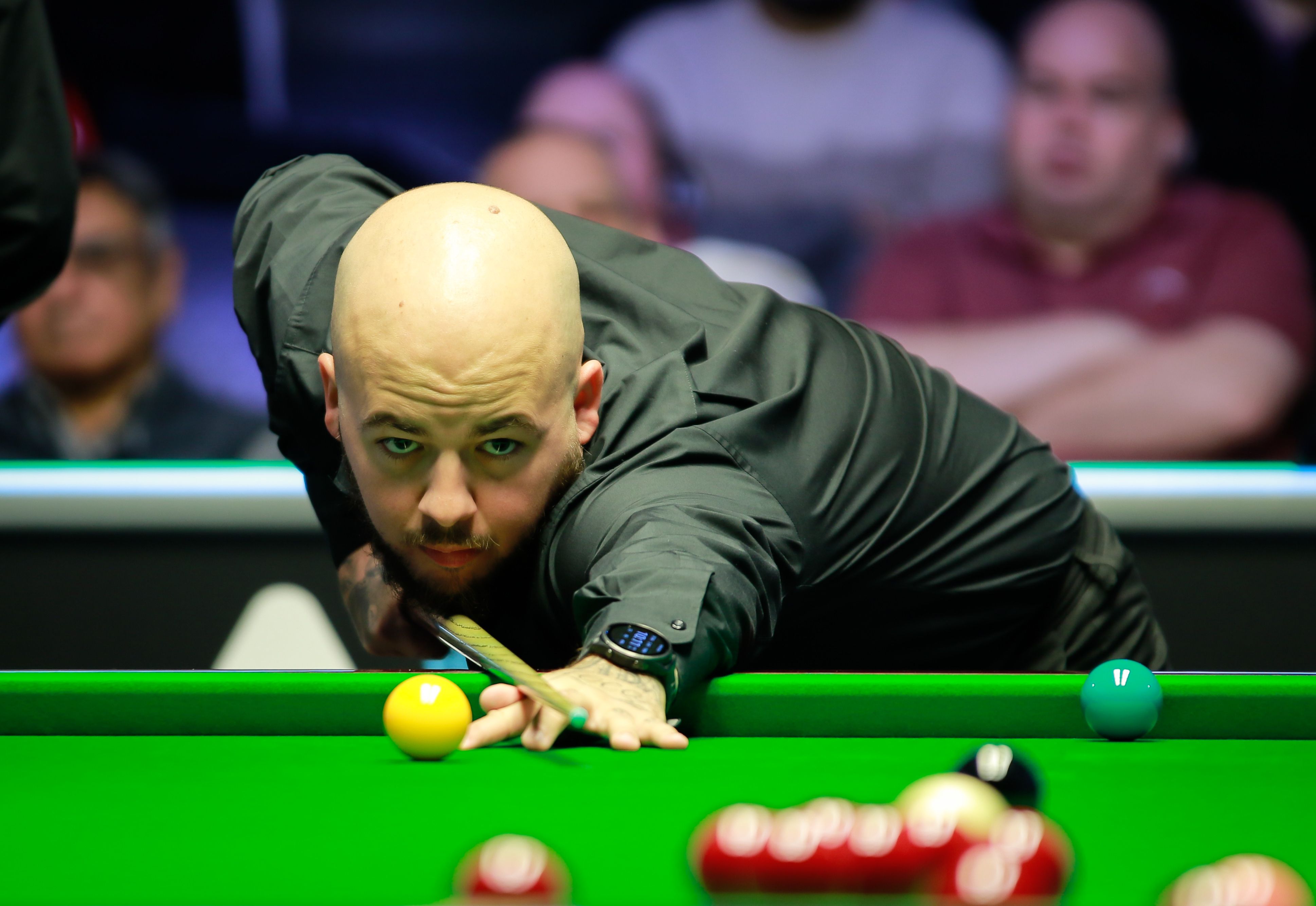 本文将为您 本文将为您